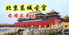骚屄用手玩大鸡巴小说小说中国北京-东城古宫旅游风景区
